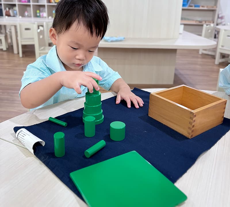 curiculum-Sensorial Training